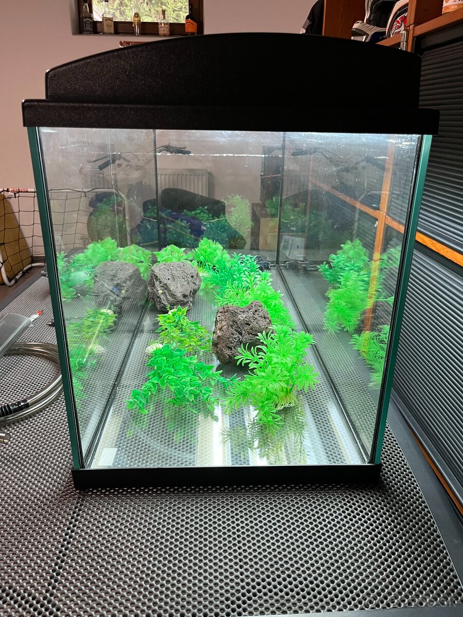 Akvarium 300 lit. s príslušenstvom - 2