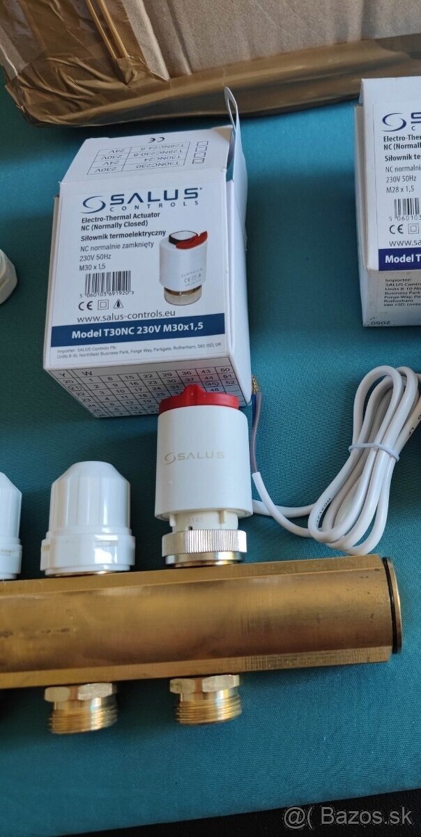Salus termohlavice - 2