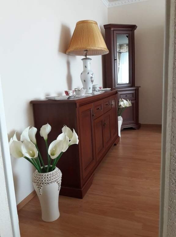 Prenájom 2-izbového bytu Čiernej nad Tisou, nezariadený. - 2