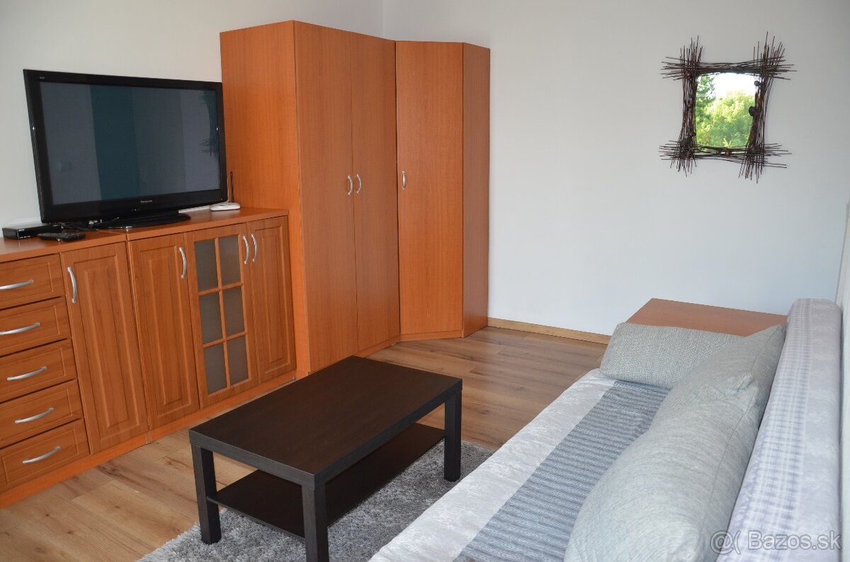 Prenájom 1 izbového bytu - 2