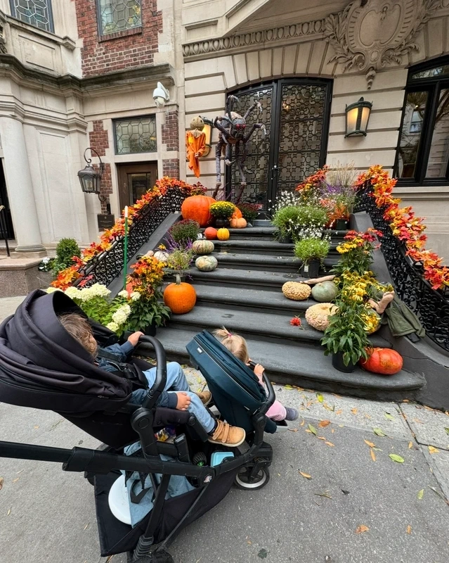 Thule sleek surodenecky kocik - 2