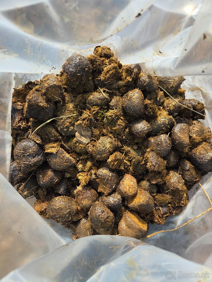 Vrecovany konský hnoj - 2