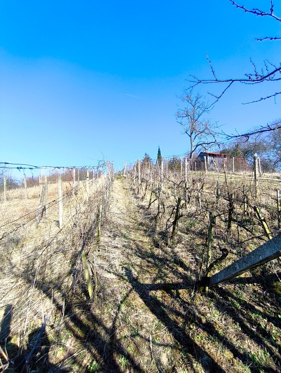 Predám rekreačný pozemok - 2