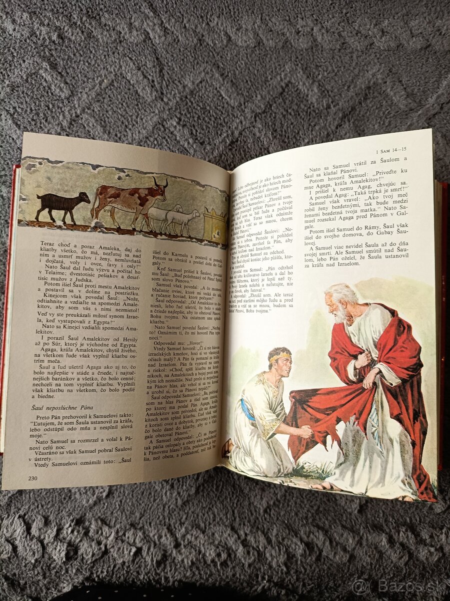 Ilustrovaná Biblia - 2