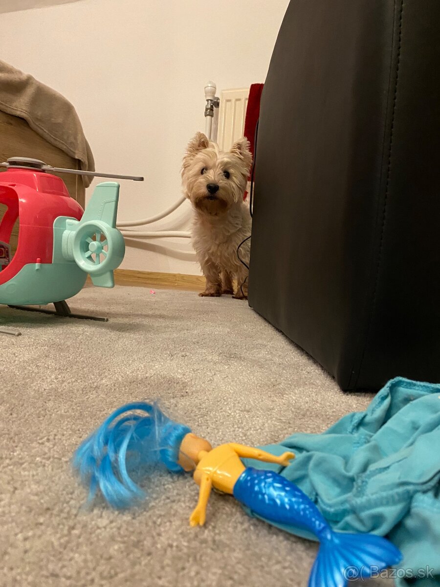 Westik na krytie - 2