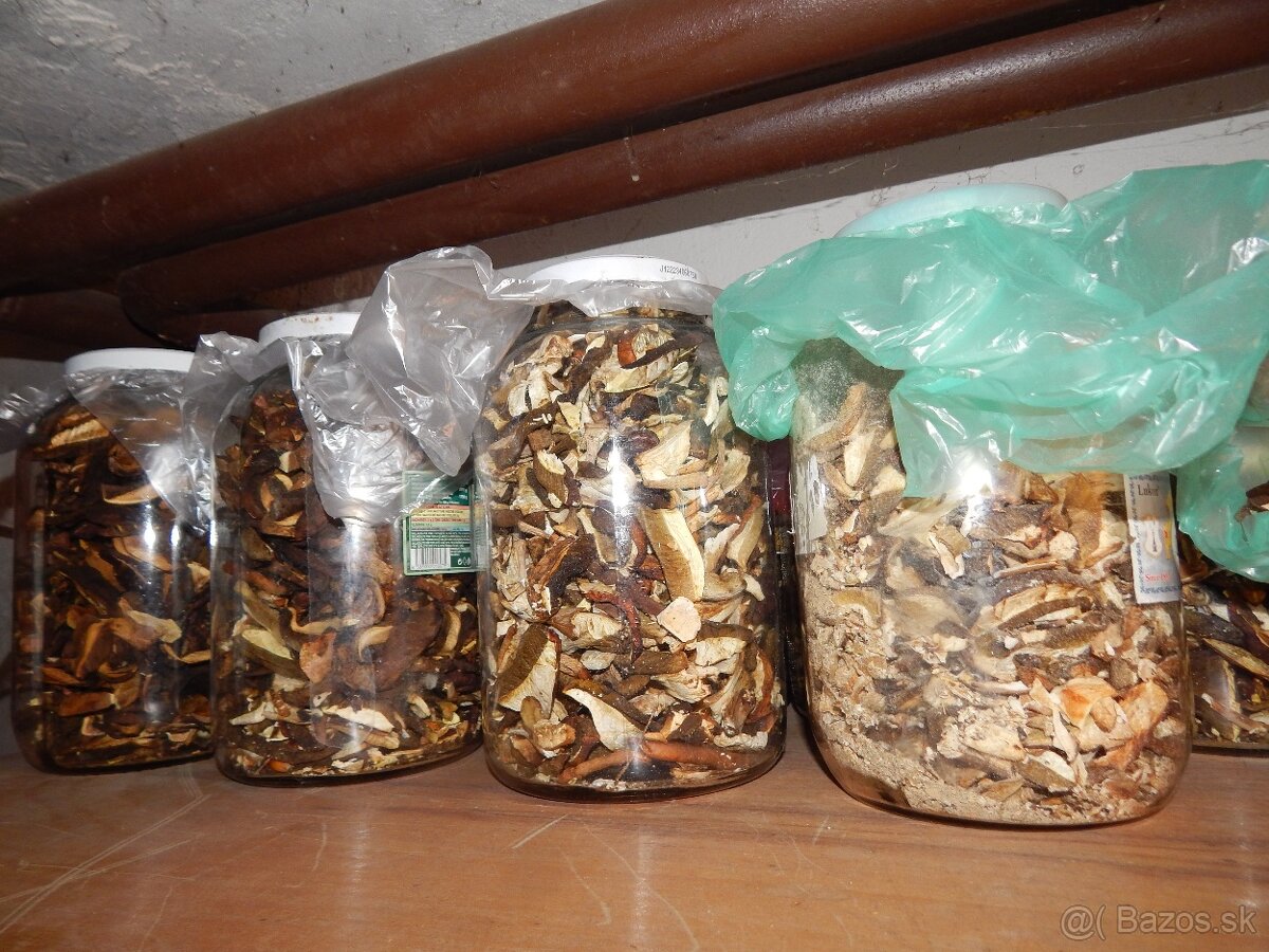 Predám sušené dubáky. - 2