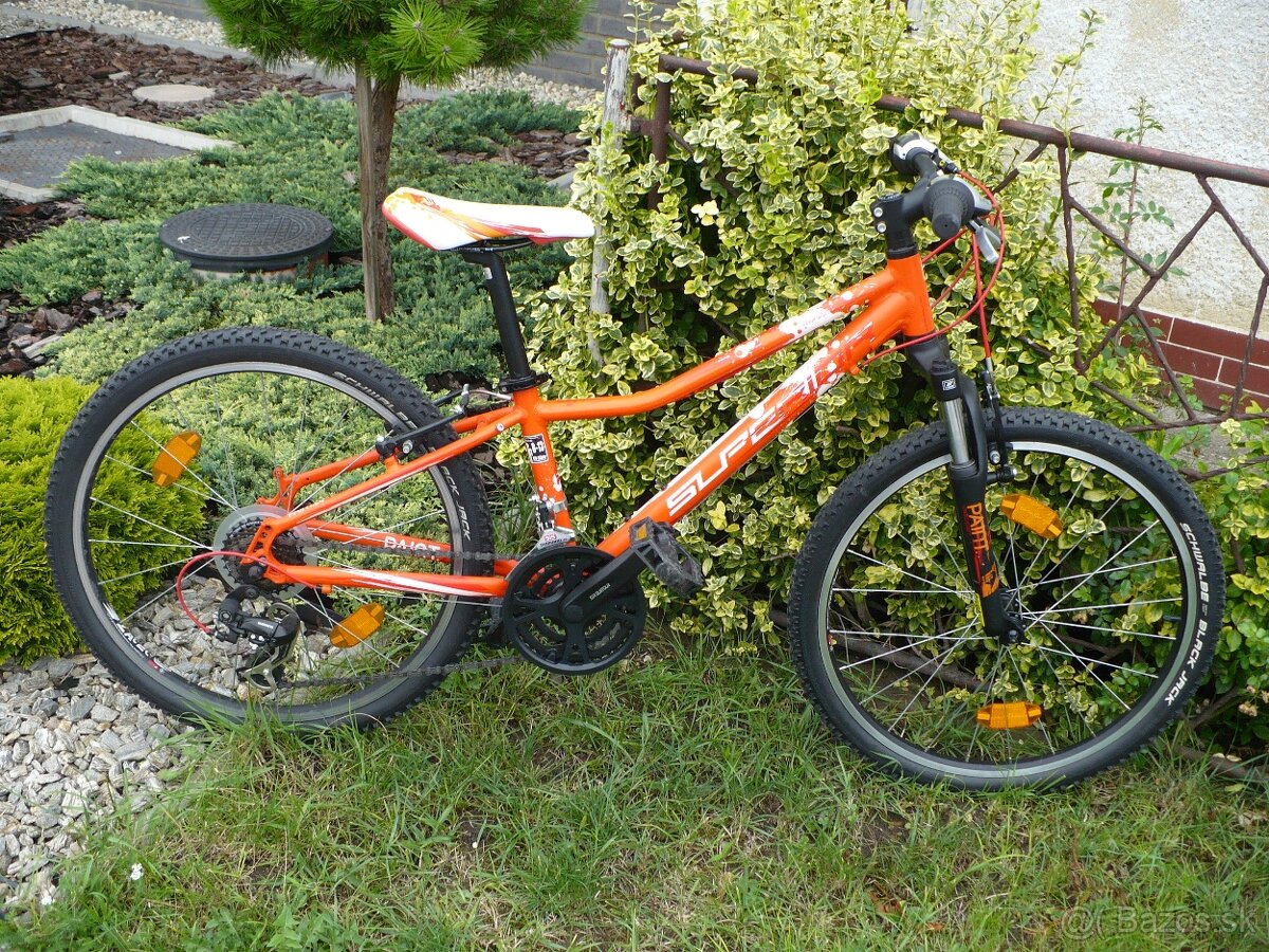 Detský bicykel Superior Paint 24 " - 2