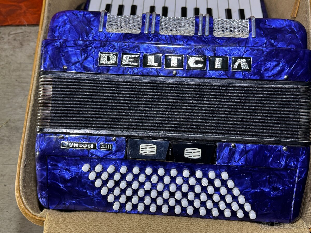 Akordeon Delicia Junior XIII 72 basovy velmi malo pouzivany - 2
