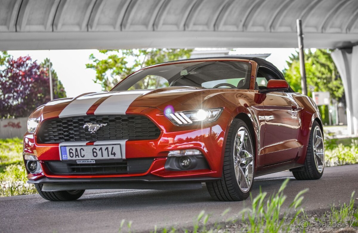Mustang Cabrio 3.7 Shelby -Top Stav - 2