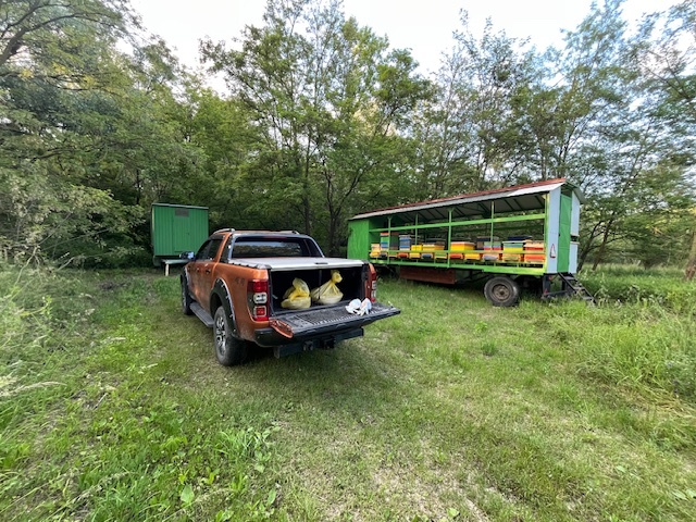 Predam vcelie rodiny - 2