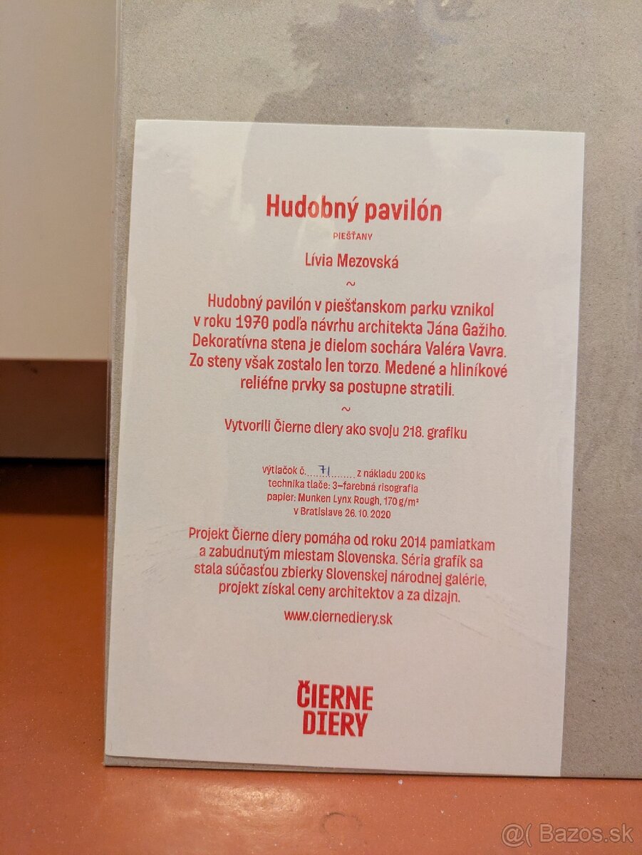 cierne diery hudobny pavilon livia mezovska - 2