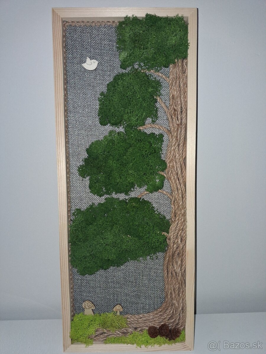 Machový obraz Sekvoja - 2