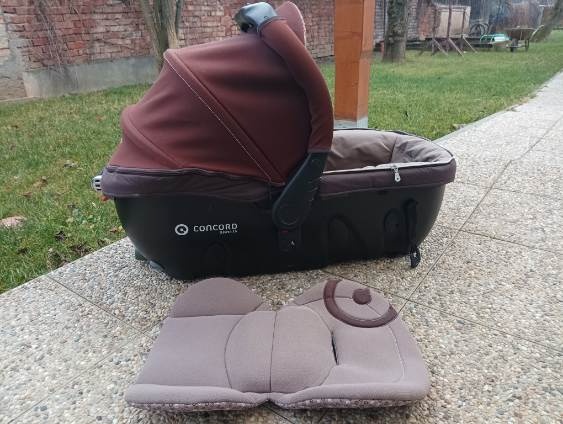 Concord Wanderer - 2