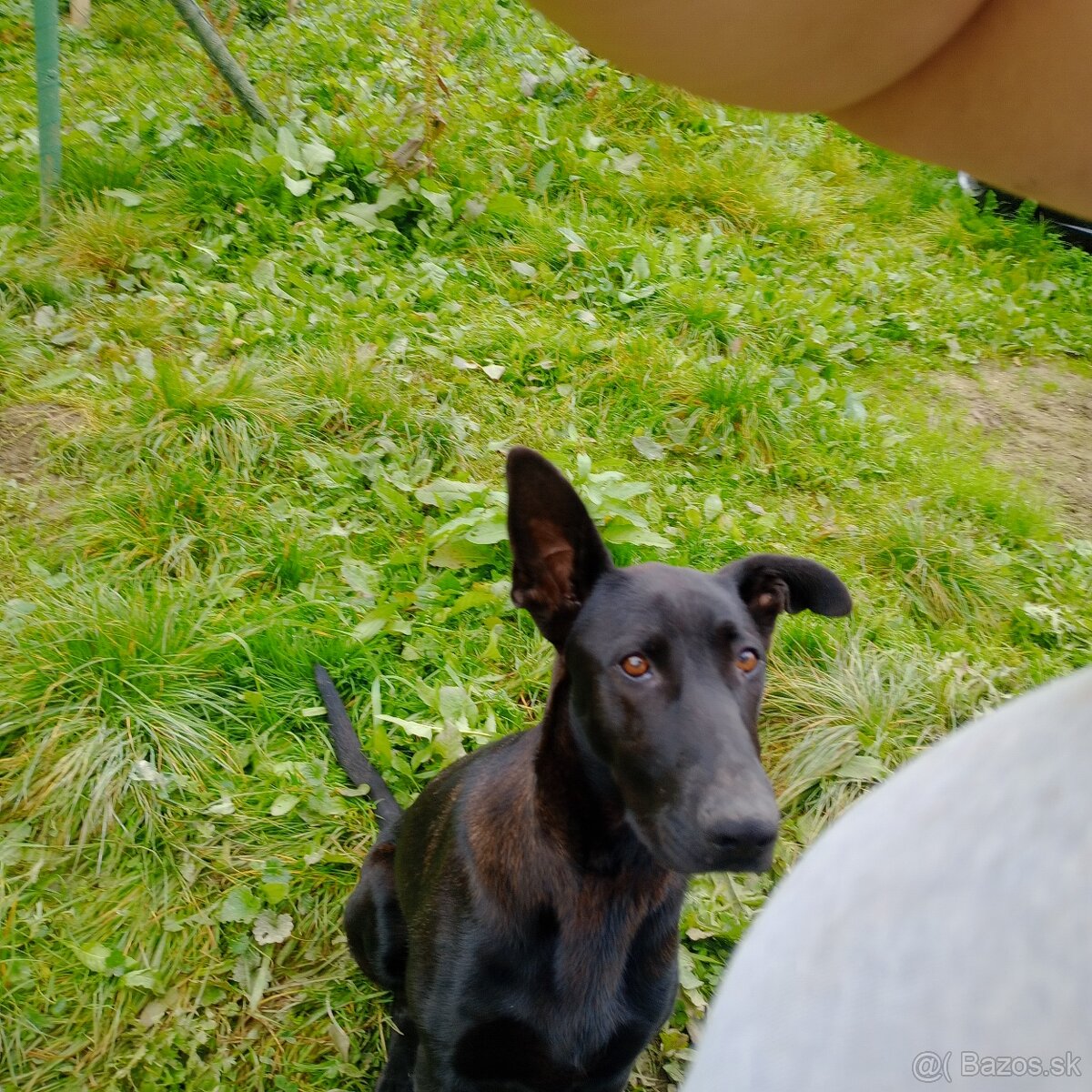 Darujeme steniatka - 2