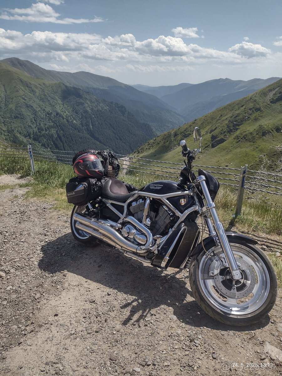 Harley Davidson V-rod 1130 VRSCAW - 2