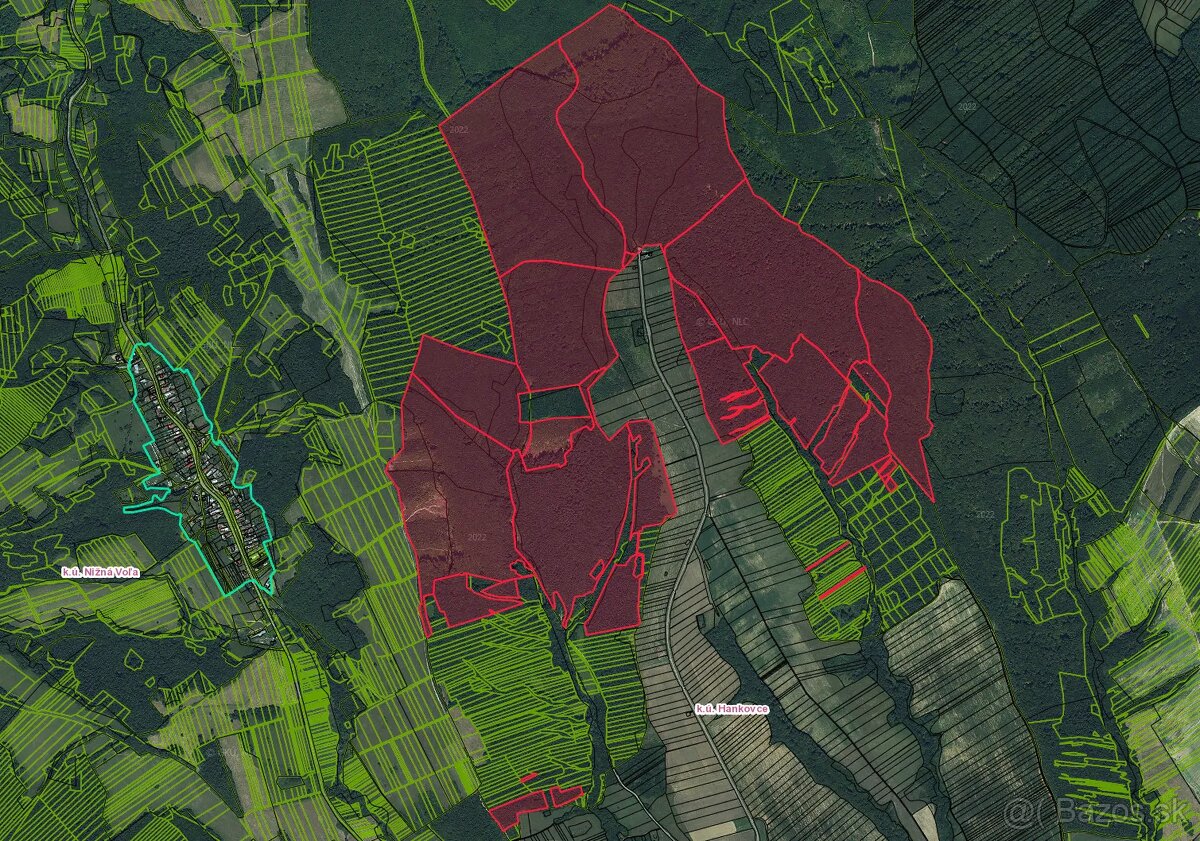 Hankovce – 6.207 m2 LESOV (Urbáru) – PREDAJ - 2
