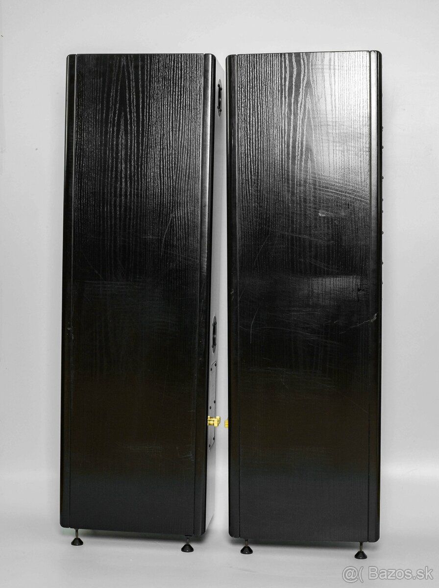 Vienna Acoustics Apis - 2