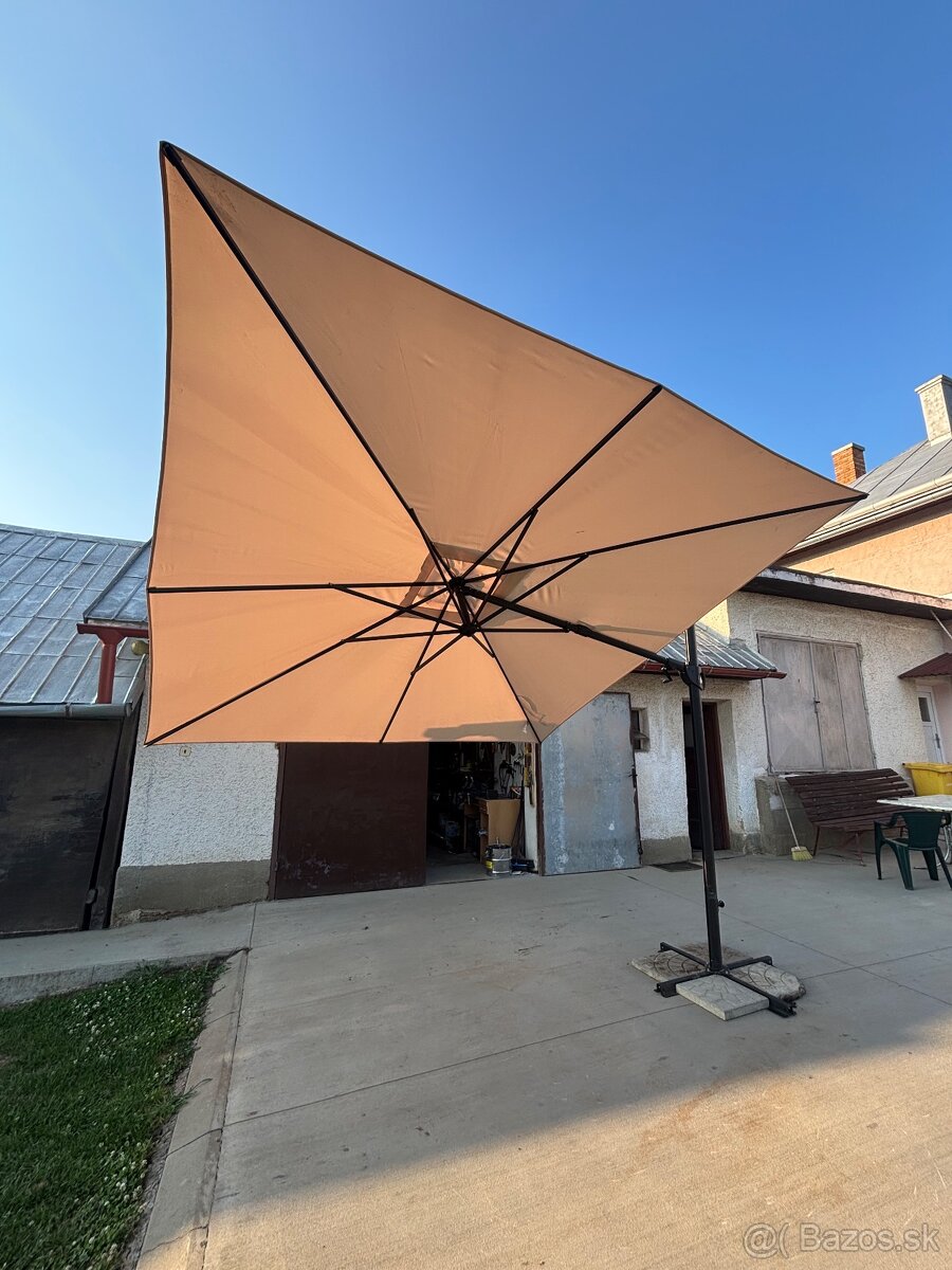 Slnečník - 2
