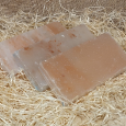 SOĽNÁ TEHLA 20x10x2,5cm - 2