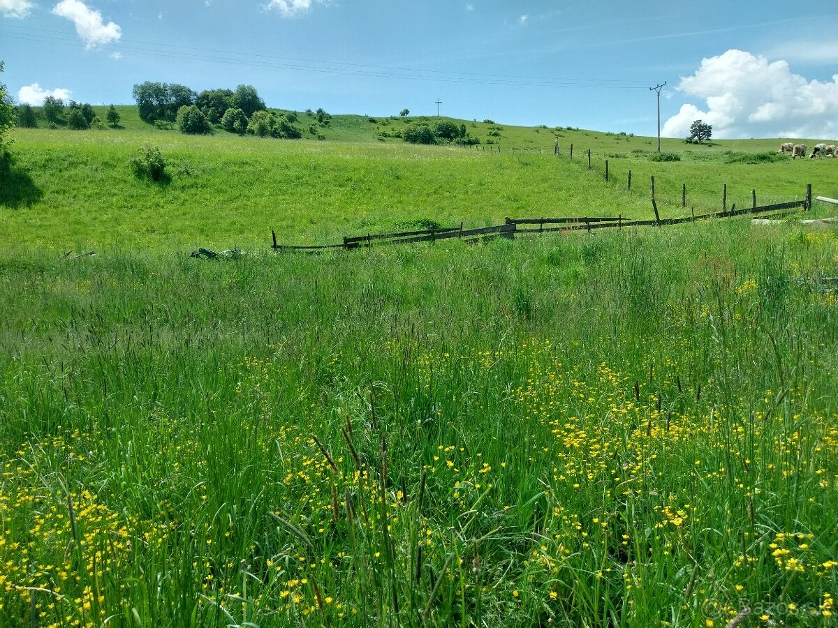 Predám pozemky v katastri Vojňany - 2