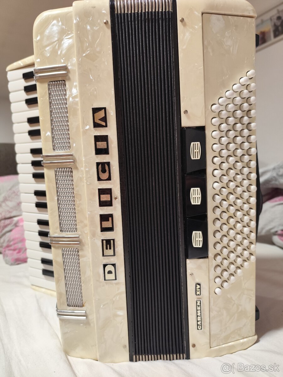 Harmonika delicia carnen - 2