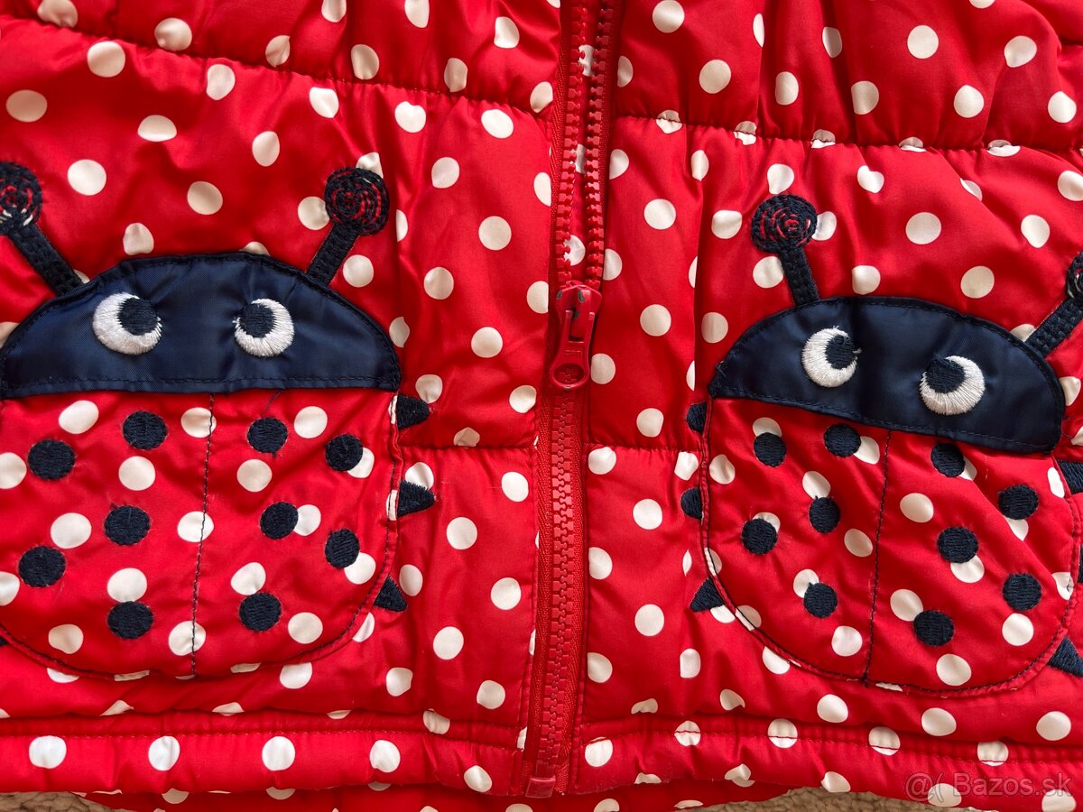 Vesta bluezoo 98 - 2