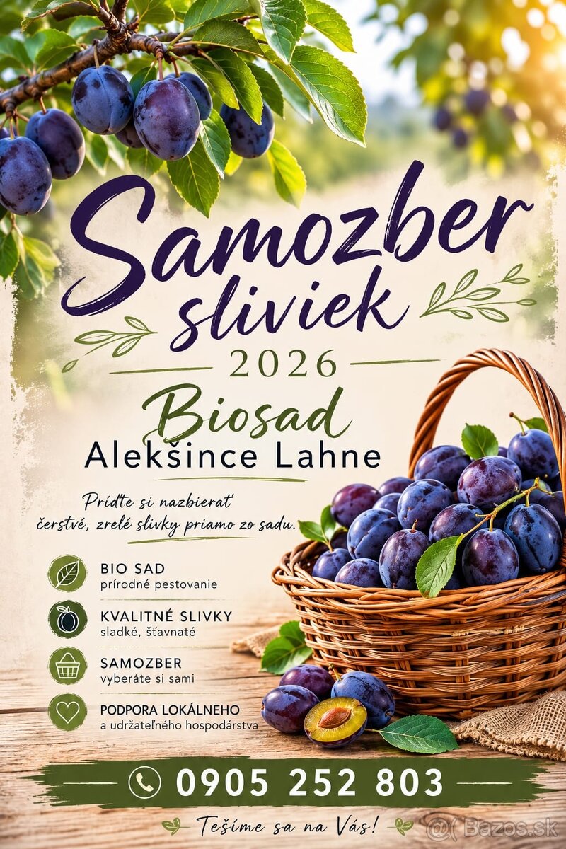 Samozber sliviek - 2