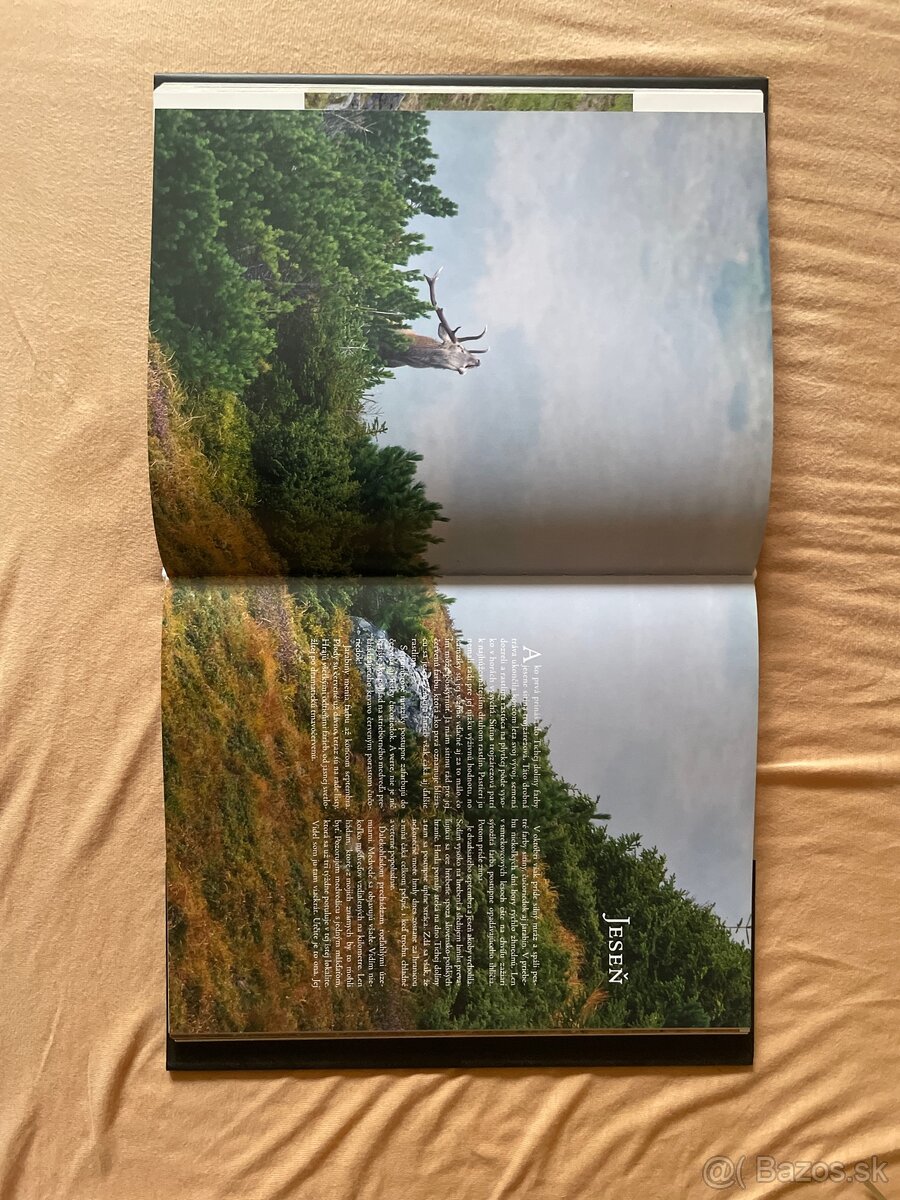 Posledná pevnosť - Erik Baláž a Bruno D’Amicis - 2