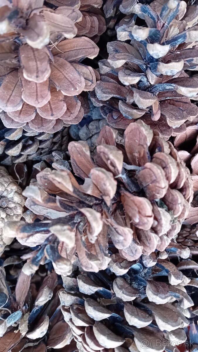 Krasne šišky 170ks - 2