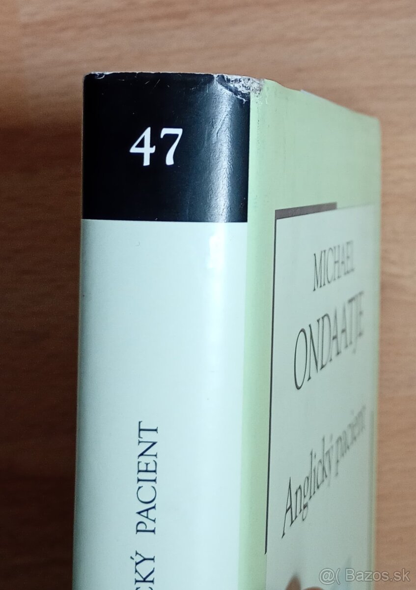 Ondaatje, M. - Anglický pacient - 2