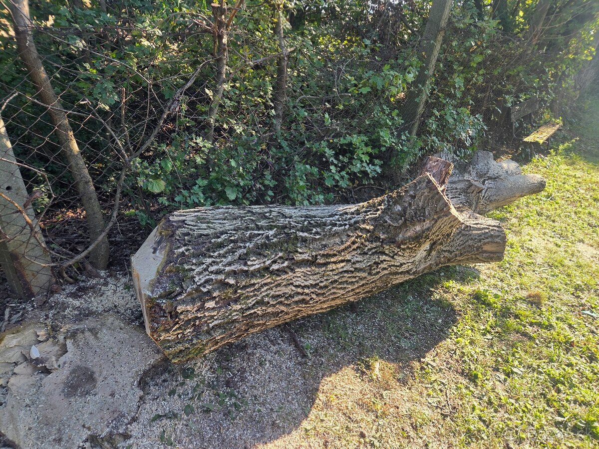 Orechové drevo - 2