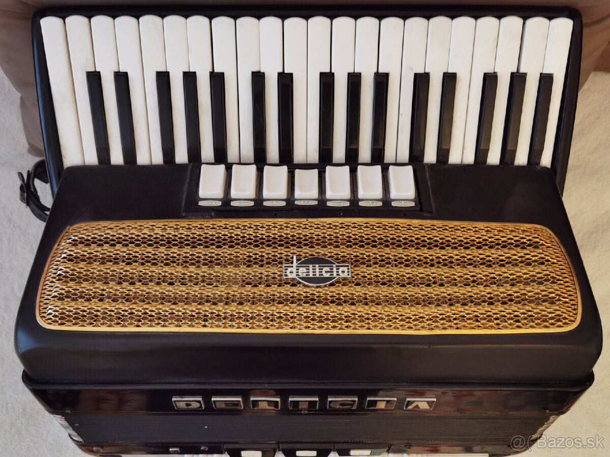 Akordeon Delicia Carmen II - 2
