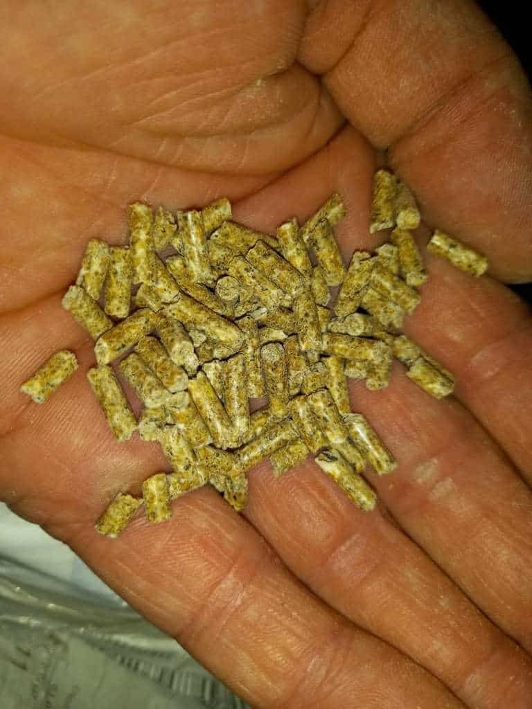 Aller Alltech Aqua Coppens - 2