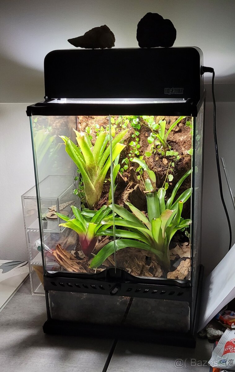 Terárium ExoTerra - 2