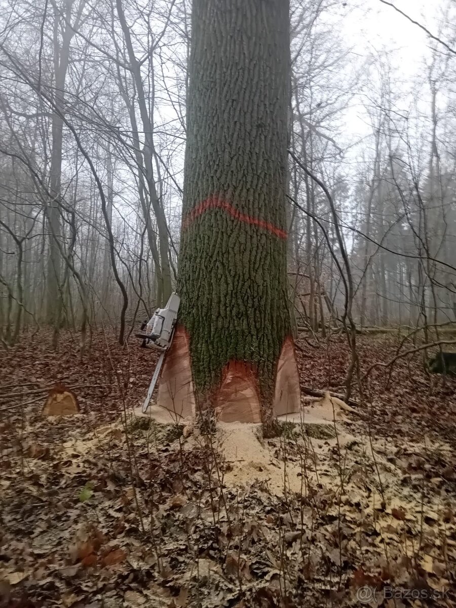 Pilcik / Pilcik Nemecko - 2