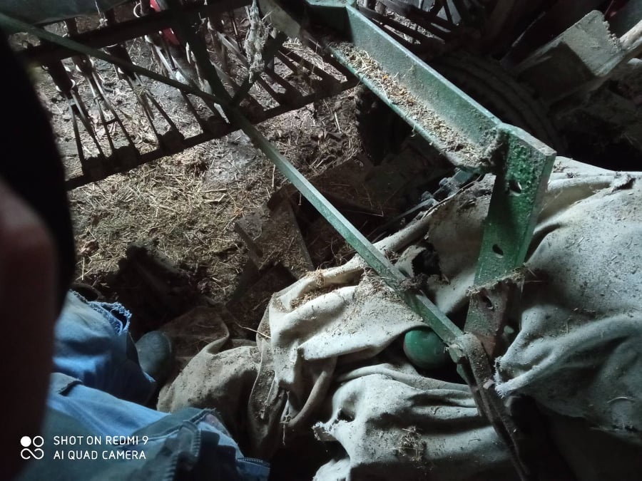 Konská sejačka - 2