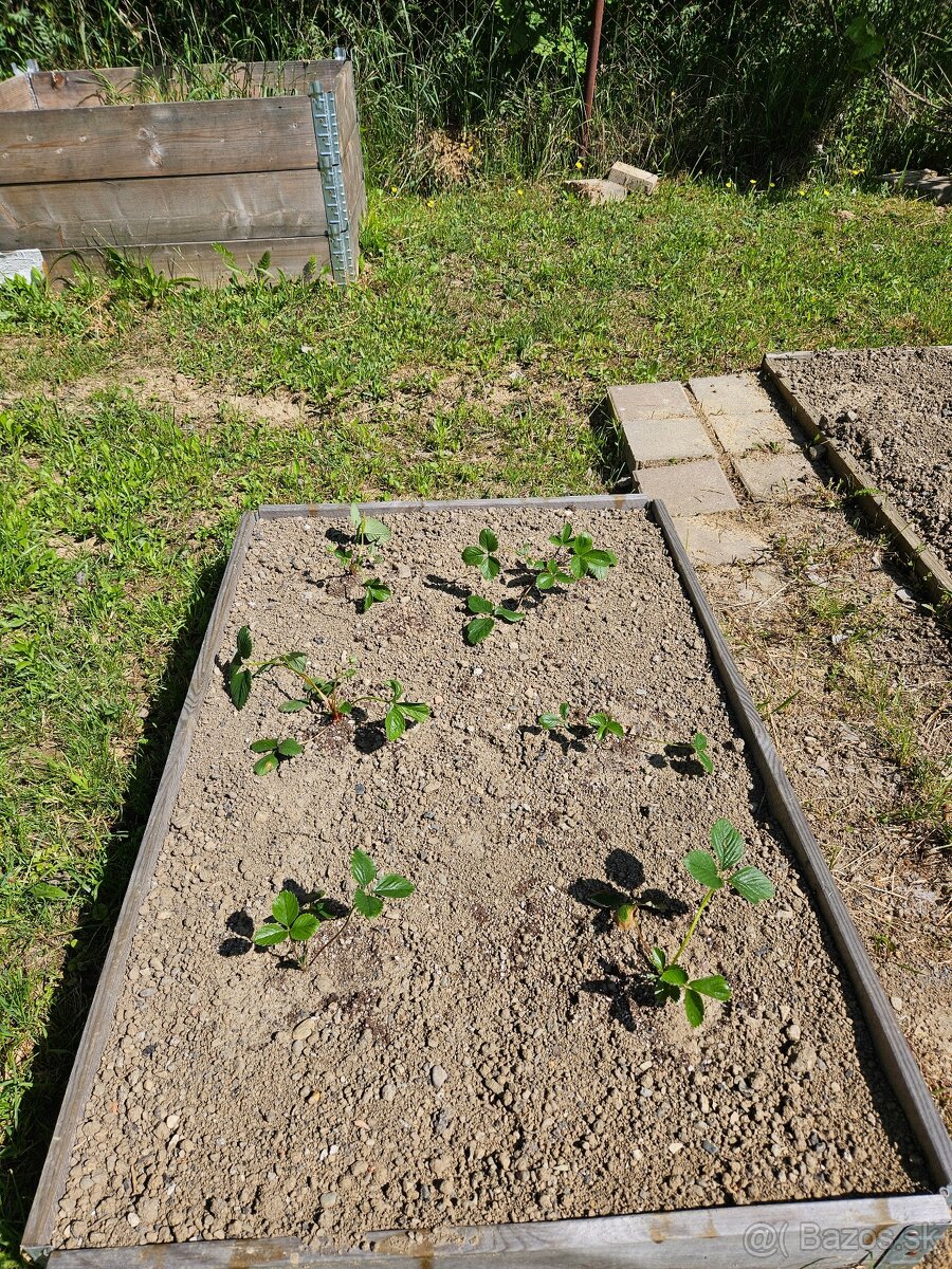 Predám záhradu - 2