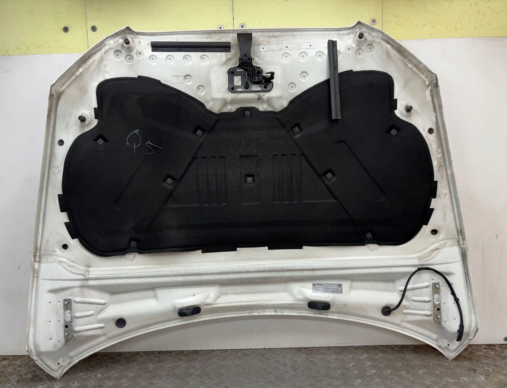 Audi Q5 8R0 2008- Kapota - 2