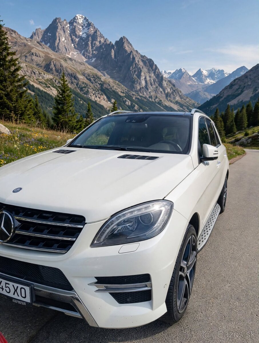 Mercedes ML500 AMG - 2