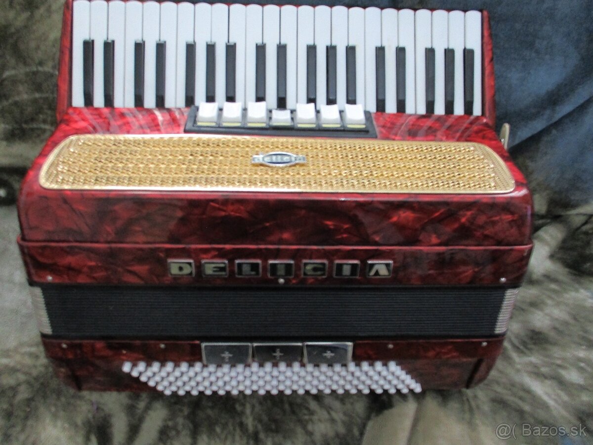 harmonika delicia - 2