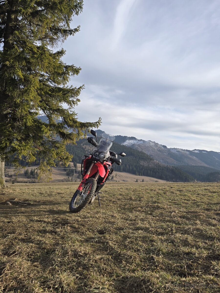 Honda crf 300 rally - 2