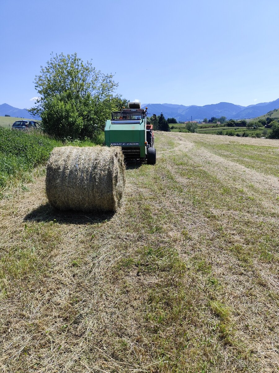 Lis / Balikovač - 2