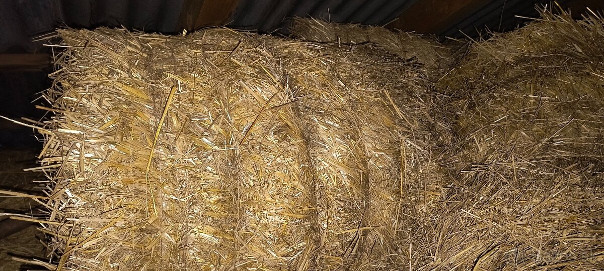 Predám balikovanu slamu - 2