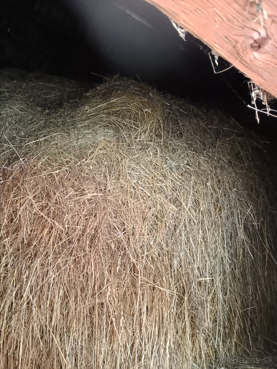 Darujem seno - 2