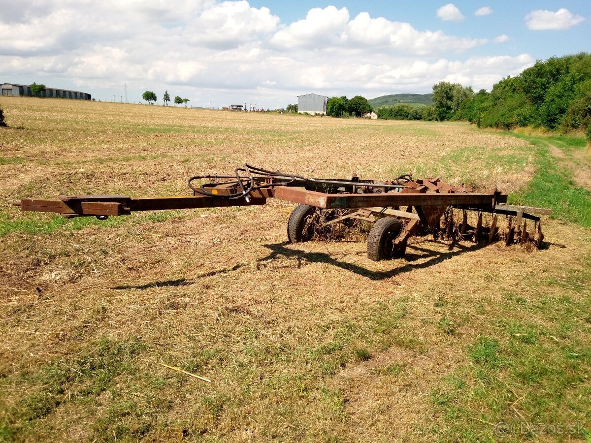 Tanierovi kiprič - 2