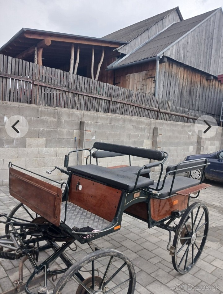Vagoneta / koč / brička - 2