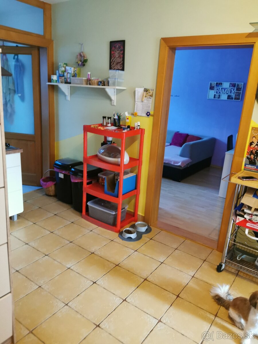 Furča - 3 izbový byt na predaj - 2