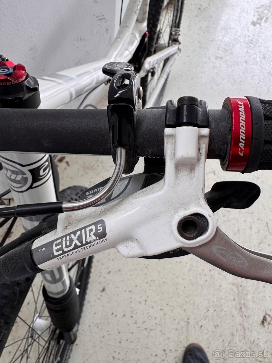 Predam CANNONDALE Scalpel 29 - 2