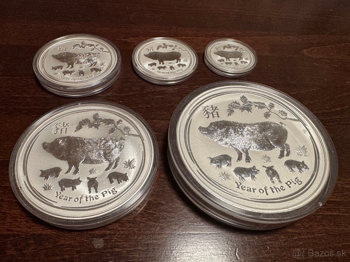 Investičné striebro, Lunárna séria, rok prasaťa 2019 - 2