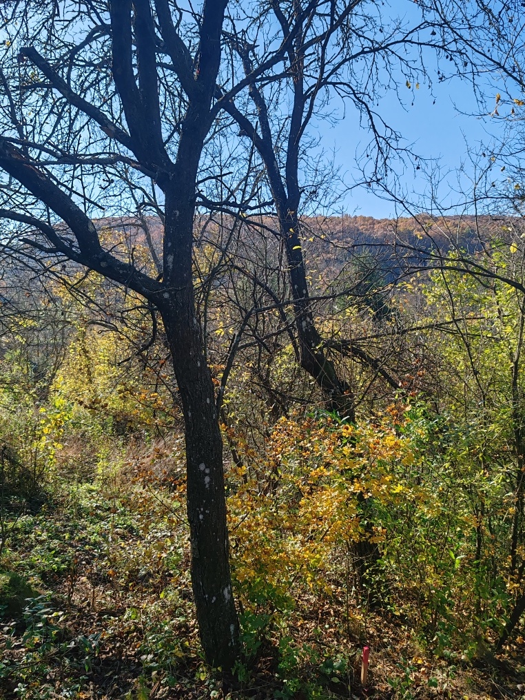 Na predaj pozemok v Podkylave - 2